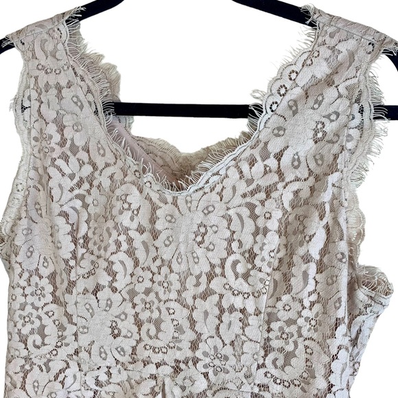 Joie Rori Lace Fringe Mini Dress Mushroom Tan Champage - Picture 7 of 14